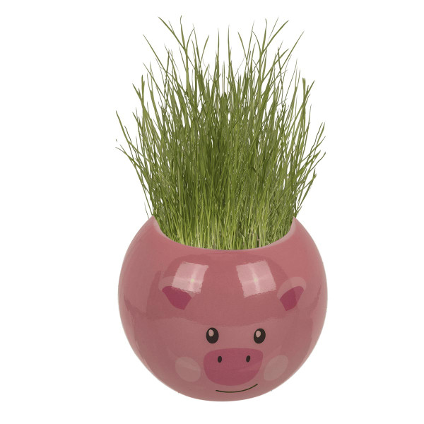 Grow-a-head – Mezőgazdasági állat