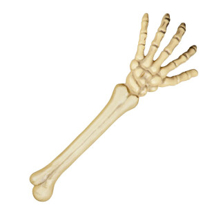 Csontváz kéz (46 cm)