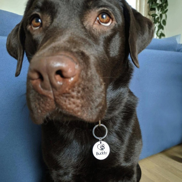 Egyedi névvel ellátható állatbiléta