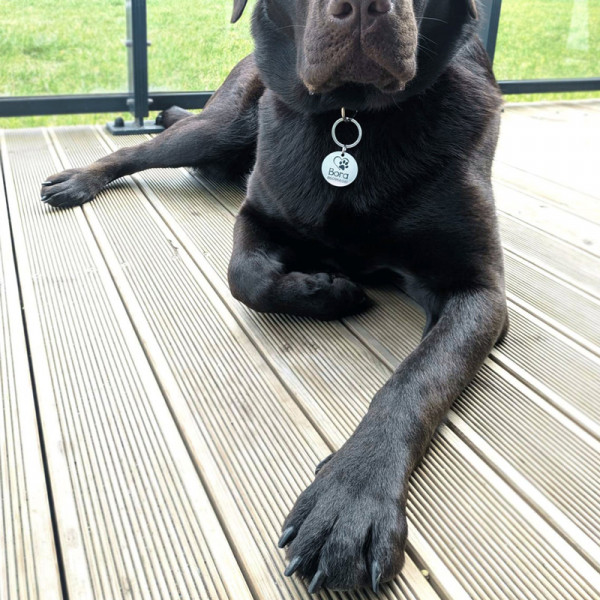 Egyedi névvel ellátható állatbiléta