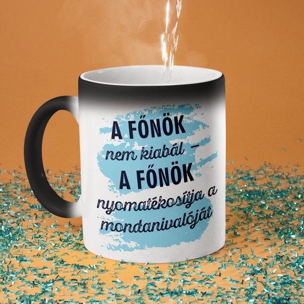 Bögre "A főnök hangsúlyozza az álláspontját"