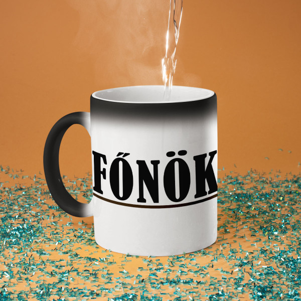 Bögre "A főnök szünete"