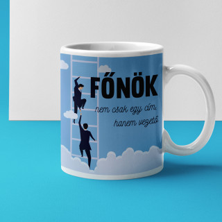 Bögre "Főnök – nem egy cím"