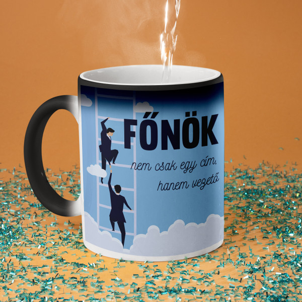 Bögre "Főnök – nem egy cím"